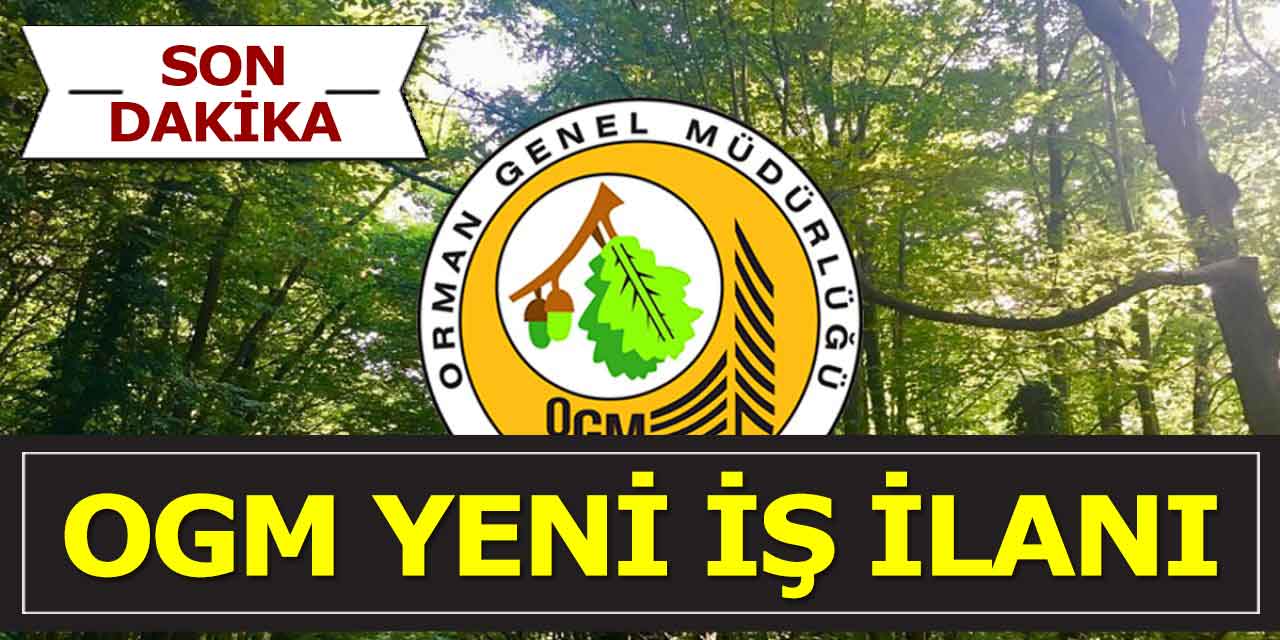 OGM Yeni İş İlanı! Bireysel Danışman Alımı kılavuzu