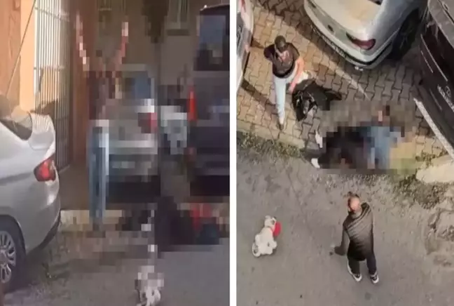 Bir Ailenin Kanla Yazılan Sonu: Sokak Ortasında Yaşanan Dehşet