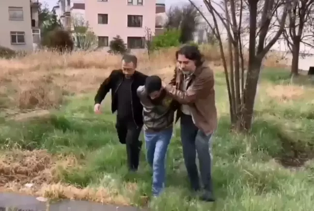 Böyle Hırsızlık Görülmedi! Türkiye’de 30, Ankara’da 2 Tane Var: 420 Bin TL’lik Köpek Çalındı, Değeri Ağızları Açık Bıraktı!