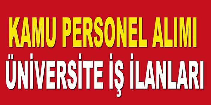 Devlet Üniversiteleri 1211 Kamu Personeli Alımı Başvuru Adımları Neler