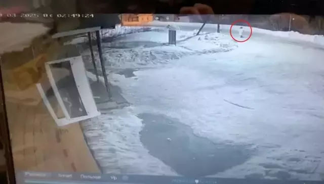KORKUNÇ AYI SALDIRISI: Kadının Son Yolculuğu Kameralara Böyle Yansıdı!"