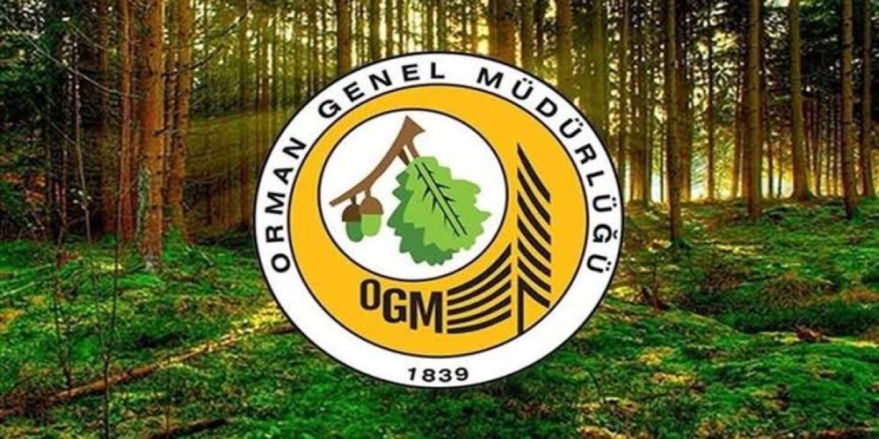OGM'den 150 Sözleşmeli Orman Mühendisi Alımı: Sınav Tarihleri Açıklandı