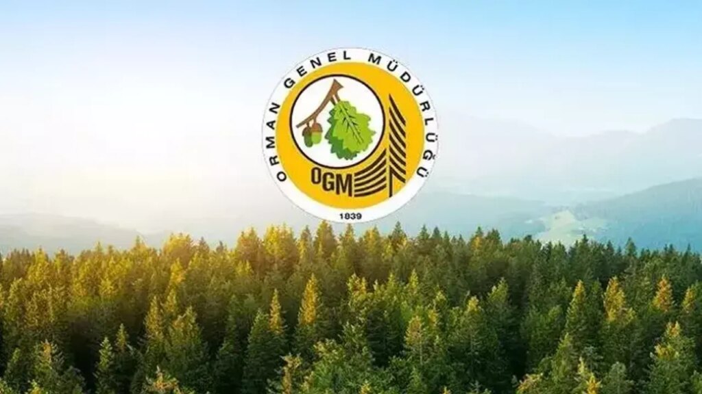 Orman Genel Müdürlüğü’nden Tarihi Atama Hamlesi: 3.477 Kişiye İstihdam Kapısı Aralanıyor!