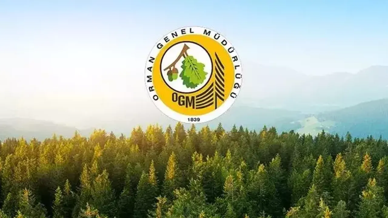 Orman Genel Müdürlüğü’nden Tarihi Atama Hamlesi: 3.477 Kişiye İstihdam Kapısı Aralanıyor!