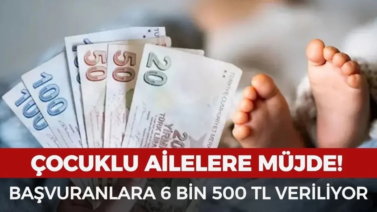 Bebek Sahibi Ailelere 6 Bin TL Destek Ödemesi Sürüyor: Başvuran Ailelere Nakit ve Bebek Paketi Veriliyor