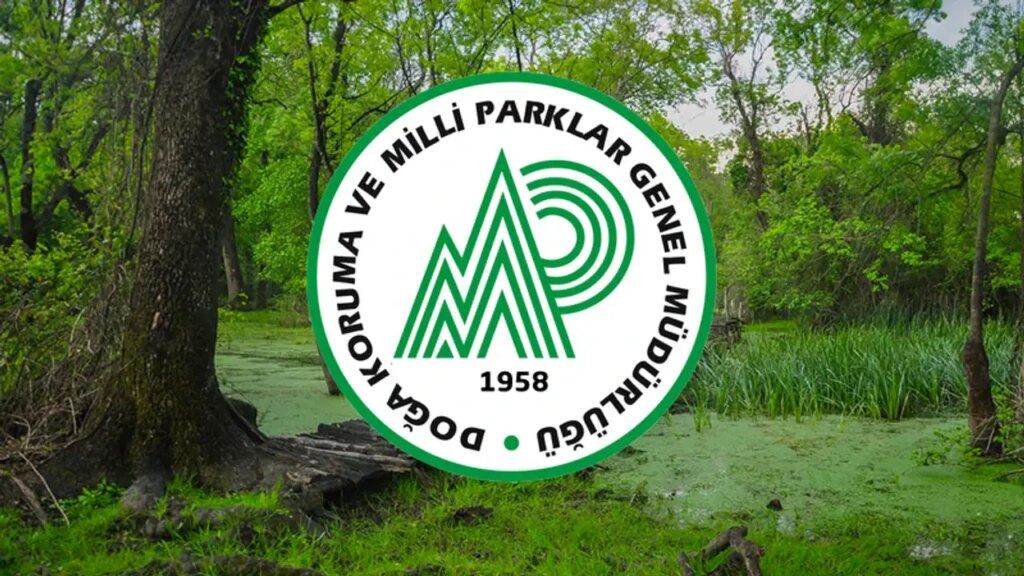 Tarım ve Orman Bakanlığı DKMP 10 Müfettiş Yardımcısı Alımı Yapacak! KPSS 70 Şartı ve Tüm Detaylar