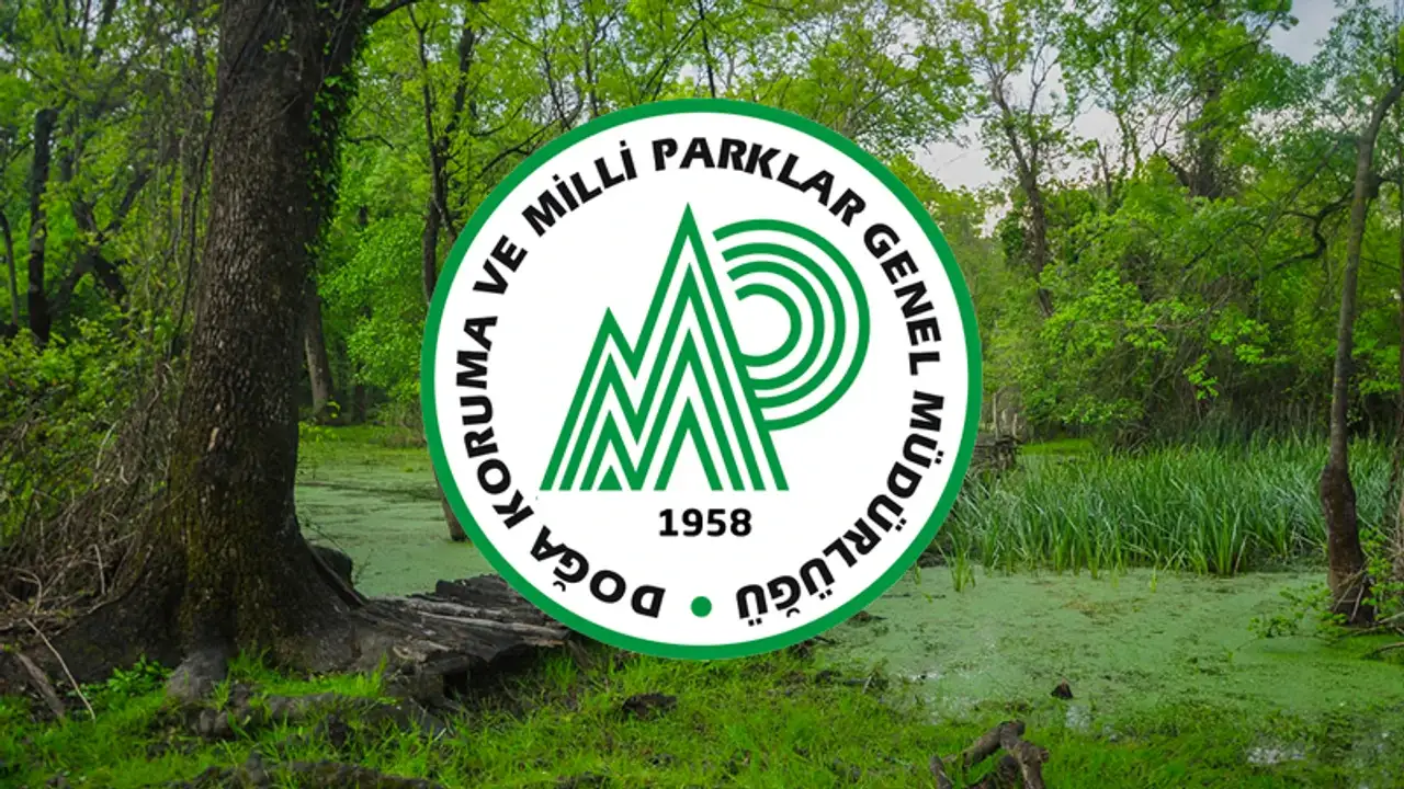 Tarım ve Orman Bakanlığı DKMP 10 Müfettiş Yardımcısı Alımı Yapacak! KPSS 70 Şartı ve Tüm Detaylar