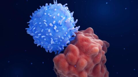 Oxford Üniversitesi ve Moderna iş birliğiyle geliştirilen yeni nesil aşı,